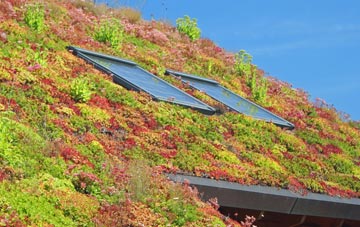 Shillingford Abbot living roof systems
