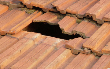 roof repair Shillingford Abbot, Devon